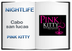 Pink kitty logo